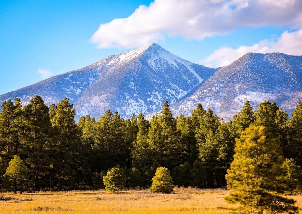 Luxury Home Downtown Nau Route 66 Snowbowl سارية العلم المظهر الخارجي الصورة
